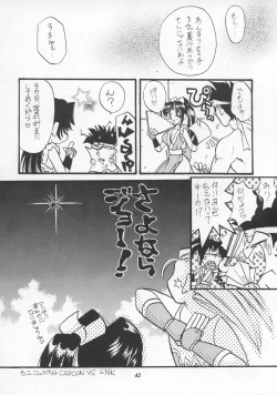 Page 41 of MODEL SNK