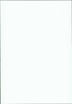 Page 2 of Patchouli in Soapland