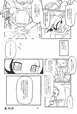 Page 24 of CONRACT of AMETHYST