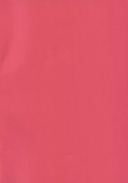 Page 2 of Oni-tachi no Tatakai wa Korekara da!