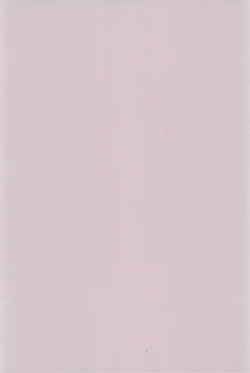 Page 45 of Majokko Daikessen