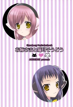 Page 27 of Onee-sama to Nekomimi Soudou