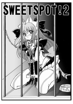 Download SWEETSPOT!2