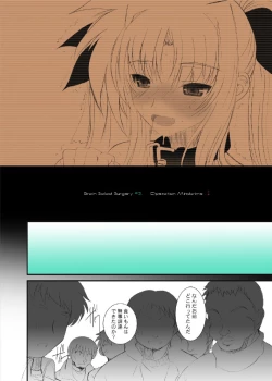 Page 17 of FATE FIRE WITH FIRE Book. II