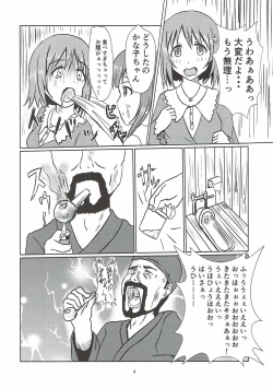 Page 5 of Edo Kiriko Shokunin to Chieri
