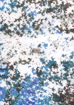 Page 38 of SEASON OF THE WITCH