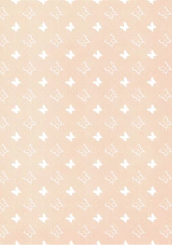 Page 2 of Kisekae Flan-chan