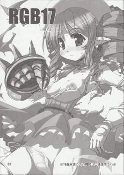 Page 3 of RGB-17