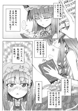 Page 5 of Pachunii no Himitsu