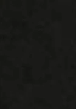 Page 22 of ASSTRSRVNT