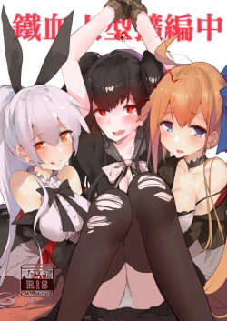 Page 1 of 鐵血人型擴編中