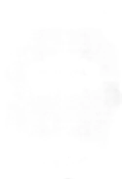 Page 15 of Furuike ya Hakase Tobikomu Mogamigawa.