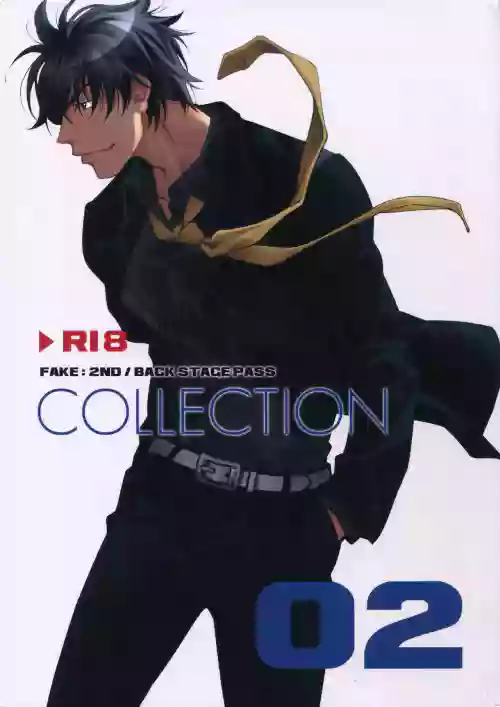 Download FAKE:2ND/BACK STAGE PASS COLLECTION 02