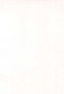 Page 4 of Hinnyuu Musume Vol.11