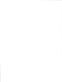 Page 31 of TIMTIM Machine Custom 03