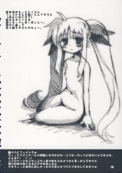 Page 17 of NANOHAHON