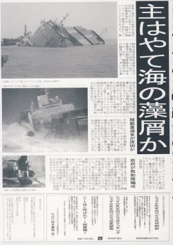 Page 28 of NANOHAHON