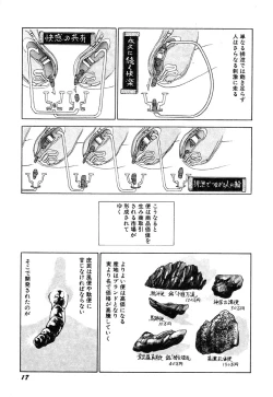 Page 19 of Dekoboko Nymphomania