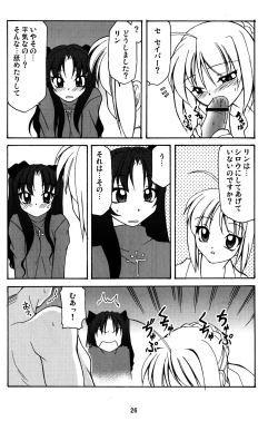 Page 25 of Fate/Luck GEAR material