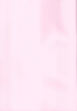 Page 21 of Risei Jouhatsu Astolfo