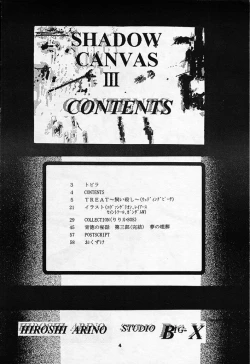 Page 3 of SHADOW CANVAS 3