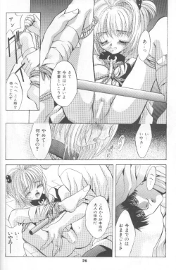 Page 25 of SHADOW CANVAS 7