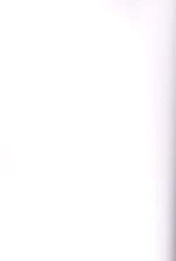 Page 2 of Boogie Woogie*Pine