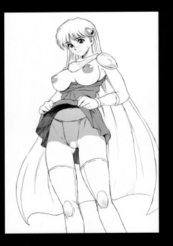 Page 20 of DQP 2 Sairokuhan