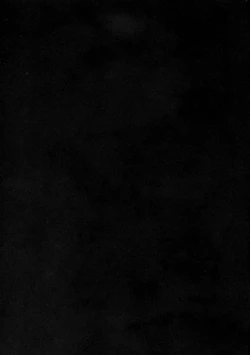 Page 2 of DQP 2 Sairokuhan