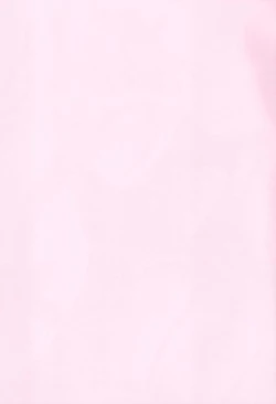 Page 3 of Risei Jouhatsu Astolfo