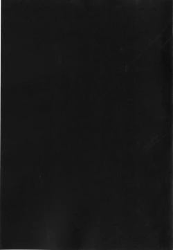 Page 25 of Crossbell no Senka