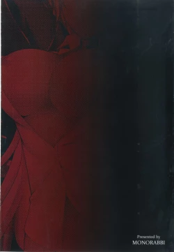 Page 28 of Crossbell no Senka