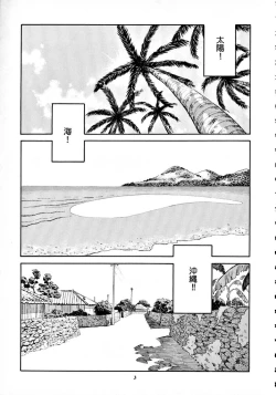 Page 4 of 8 miles high Vol.7