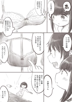 Page 3 of Onee-chan to Saori no Hajimete Bra