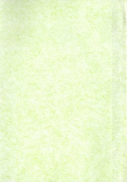 Page 4 of JUN-JYO Hoken Club