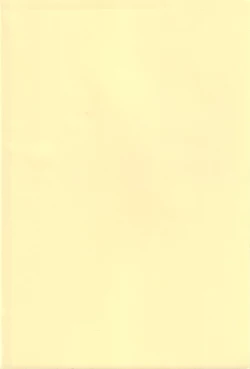 Page 2 of FULL METAL 2