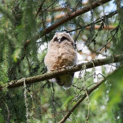 Page 96 of Noraneko Shoujo to no Kurashikata Ch. 4-15