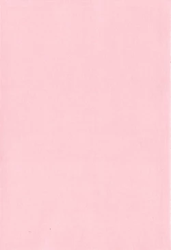 Page 4 of Saishokushugi