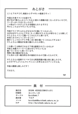 Page 21 of Yachiyo File II