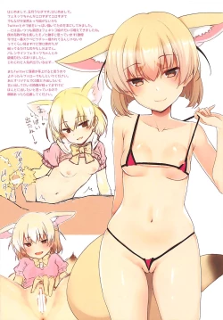 Page 12 of FENNEECCHIE