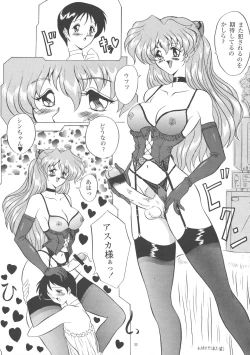 Page 11 of EVA 02 PRODUCT