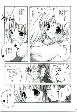 Page 47 of MIX RagnarokOnline Soushuuhen