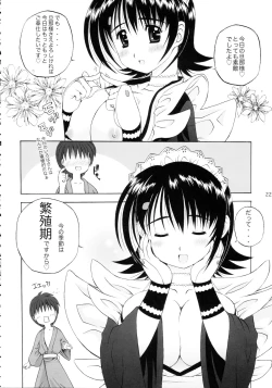 Page 21 of Iroha ni Hoheto