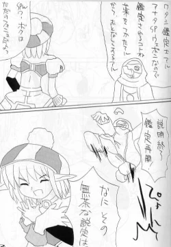 Page 27 of PSO fanbook