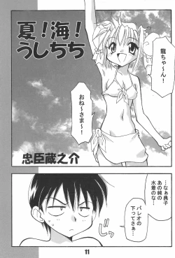 Page 11 of BBB OFFICIAL GUIDE BOOK