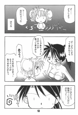 Page 13 of BBB OFFICIAL GUIDE BOOK