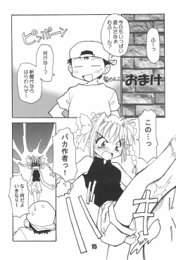 Page 15 of BBB OFFICIAL GUIDE BOOK