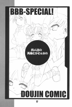 Page 17 of BBB OFFICIAL GUIDE BOOK