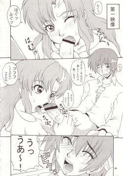 Page 19 of Nyan Nyan Seed 3