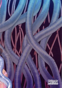 Page 23 of Shokujikai